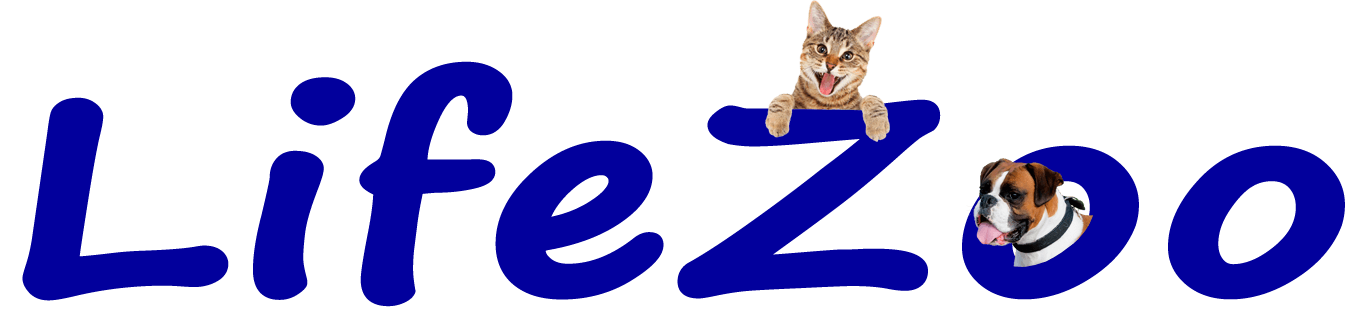 LifeZoo.com.ua